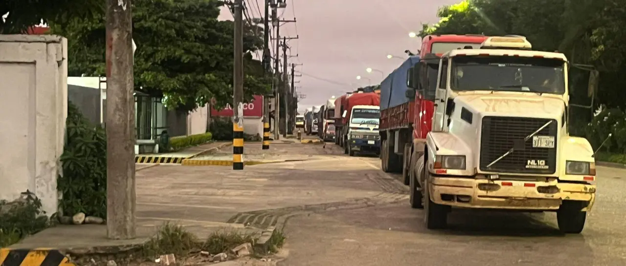 image-823fcc85-3584-4c4d-ac16-87569a777c12_101-15128657_20260420134010