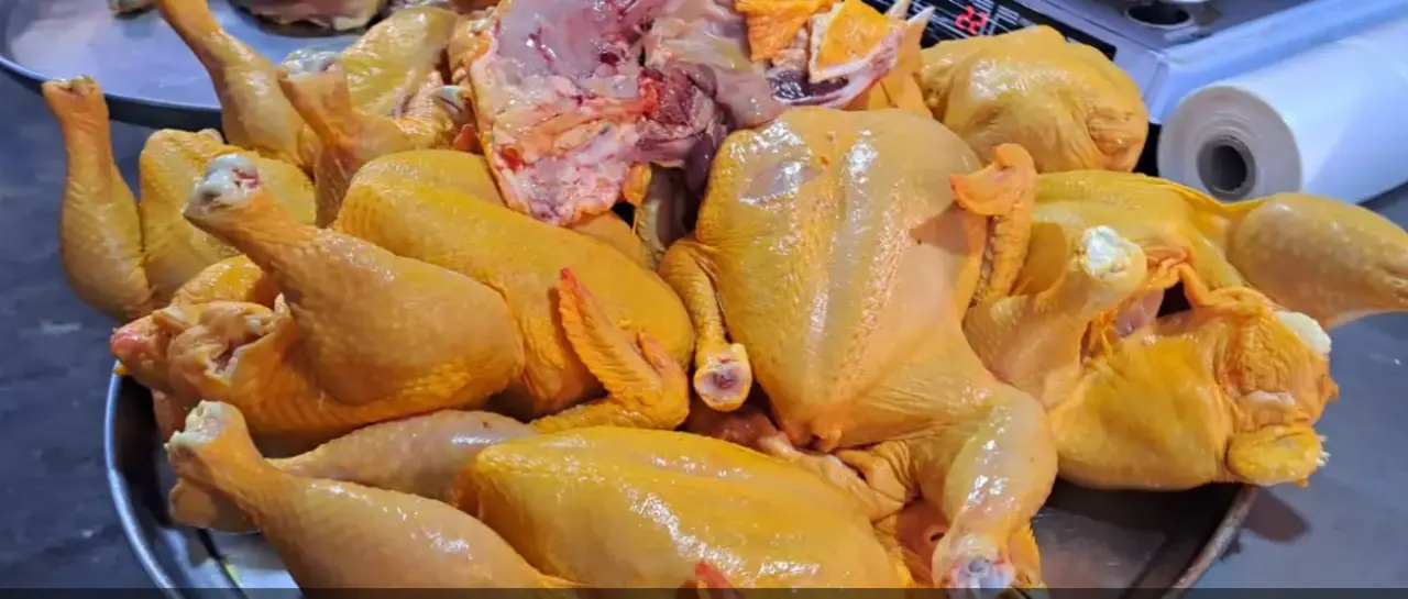 image-captura-de-pantalla-2026-04-29-081553_101-15244158_20260429121835