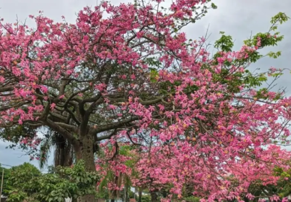 n1_101-15229906_20260428105022