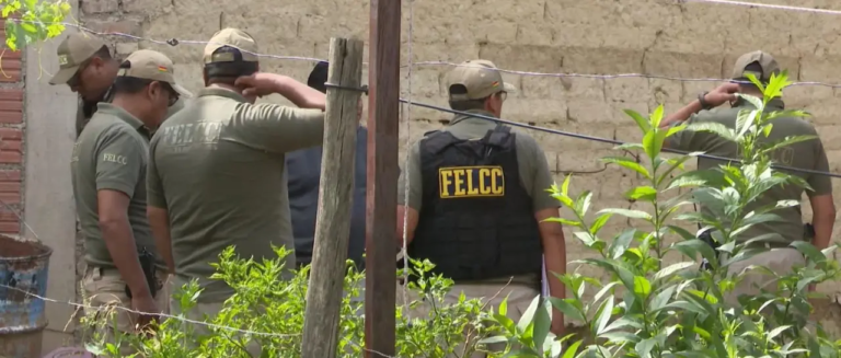 screenshot-2026-03-09-062313_101-15244147_20260429114501