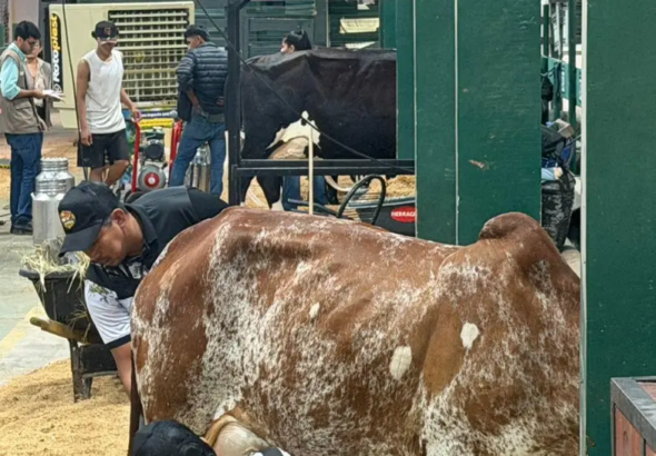 whatsapp-image-2026-04-06-at-06-43_101-14965611_20260406124513