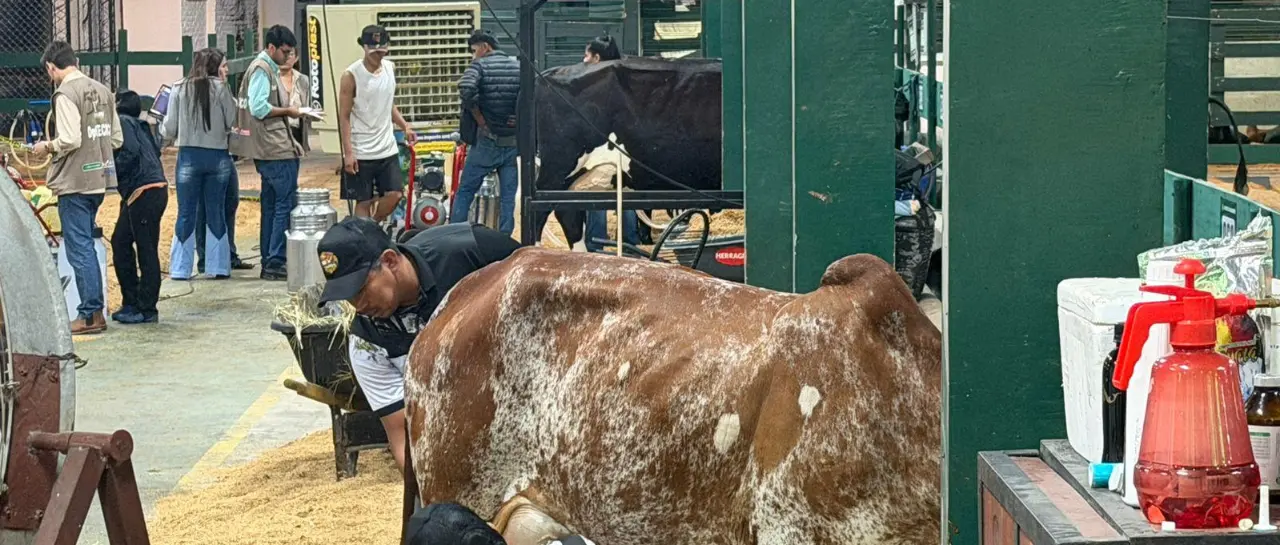 whatsapp-image-2026-04-06-at-06-43_101-14965611_20260406124513