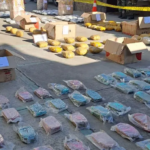 whatsapp-image-2026-04-06-at-08-53_101-14966159_20260406135221