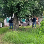 whatsapp-image-2026-04-10-at-06-59_101-15020255_20260410121648