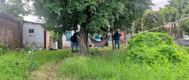 whatsapp-image-2026-04-10-at-06-59_101-15020255_20260410121648