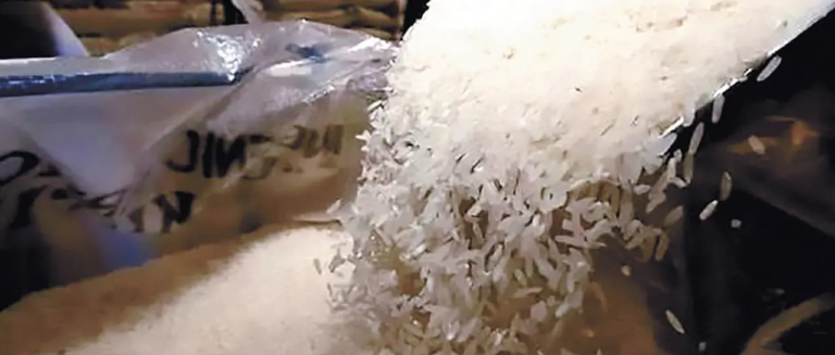 arroz_101-15910304_20260624125409