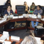 la-comision-de-constitucion-de-diput_101-15923562_20260625121727
