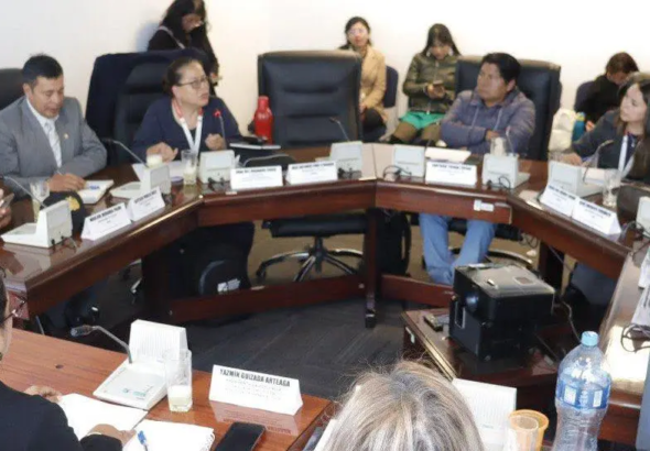 la-comision-de-constitucion-de-diput_101-15923562_20260625121727