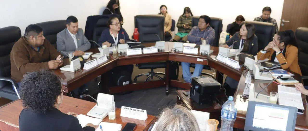 la-comision-de-constitucion-de-diput_101-15923562_20260625121727