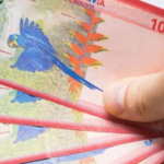 dinero-boliviano_101-16402594_20260731130215