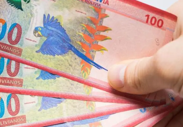 dinero-boliviano_101-16402594_20260731130215