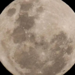 n1_101-16283367_20260722111131