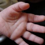 imagen-referencial-de-la-mano-de-un_101-17531146_20260925124621