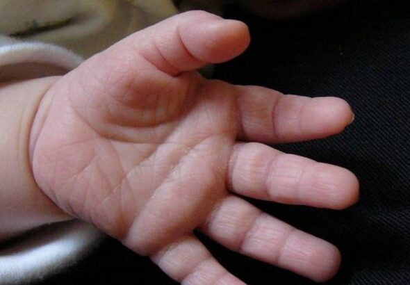 imagen-referencial-de-la-mano-de-un_101-17531146_20260925124621