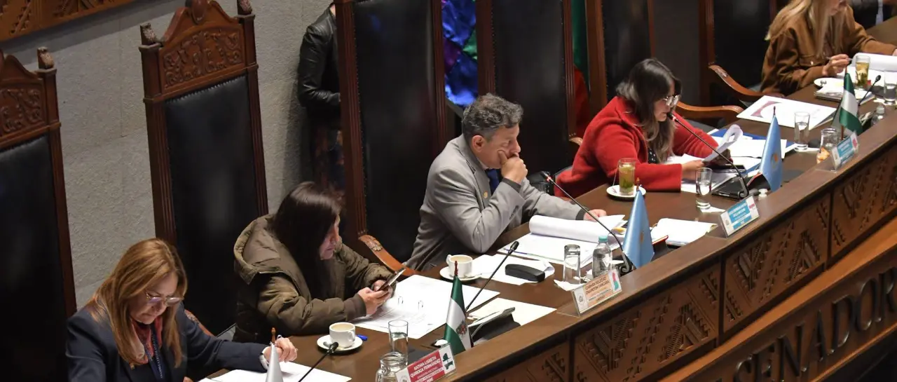 la-sesion-del-senado-del-martes_101-17111582_20260909114310