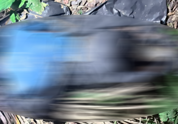 ddd_101-17913740_20261013133508