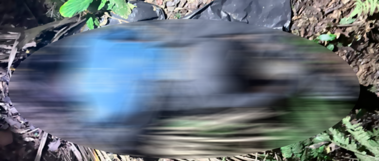 ddd_101-17913740_20261013133508