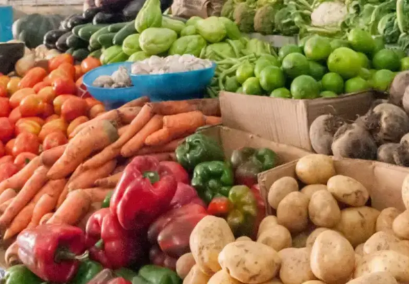 image-sobre-las-verduras-101-1779855_101-17856115_20261010014959