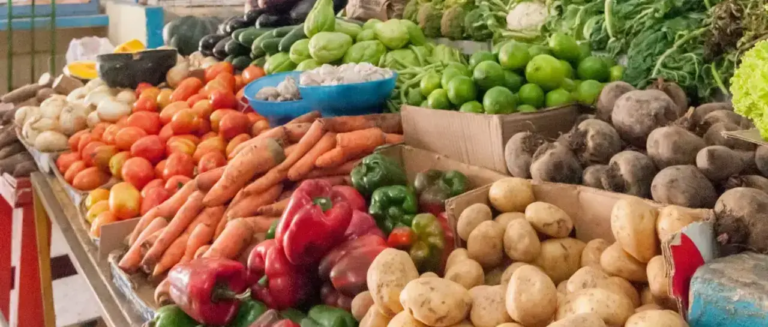 image-sobre-las-verduras-101-1779855_101-17856115_20261010014959