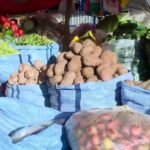 verduras_101-18240587_20261029131258