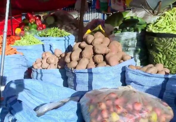 verduras_101-18240587_20261029131258