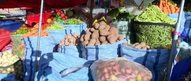verduras_101-18240587_20261029131258